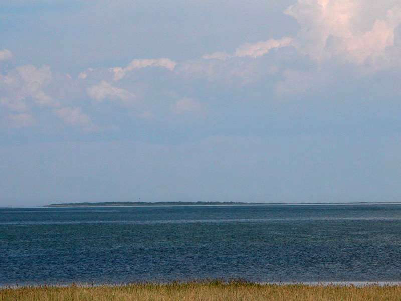 Кулундинское озеро Полуостров Осиновый_до него 10 км по прямой!