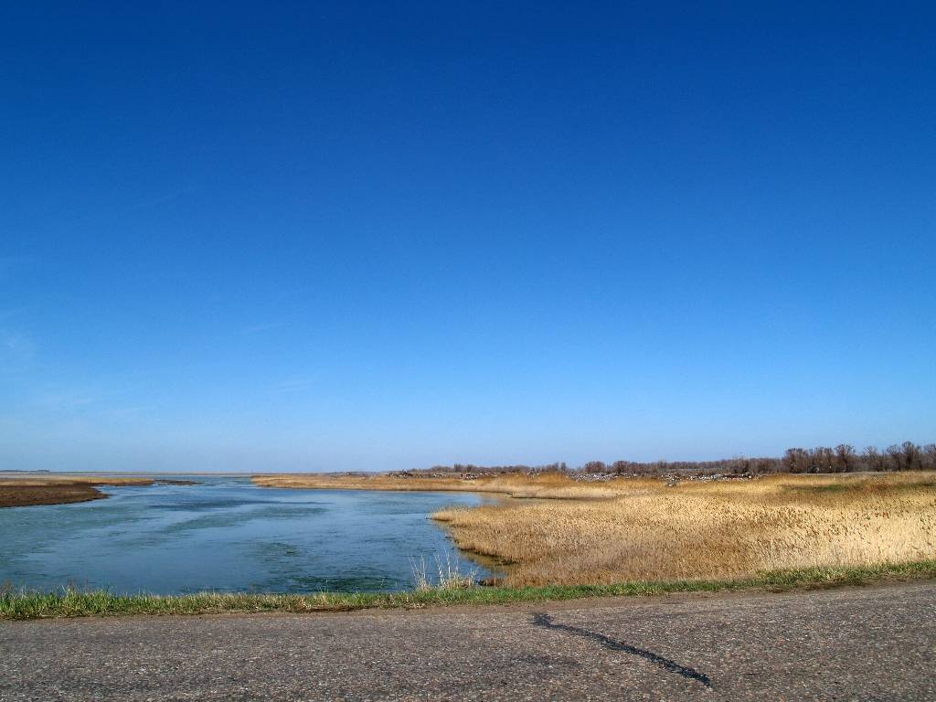 Озеро Кулундинское Kulundinskoe Lake