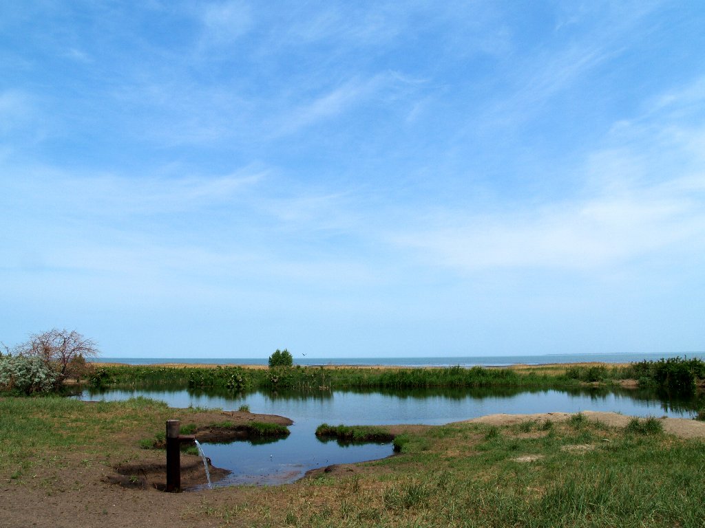 Озеро Кулундинское Kulundinskoe Lake