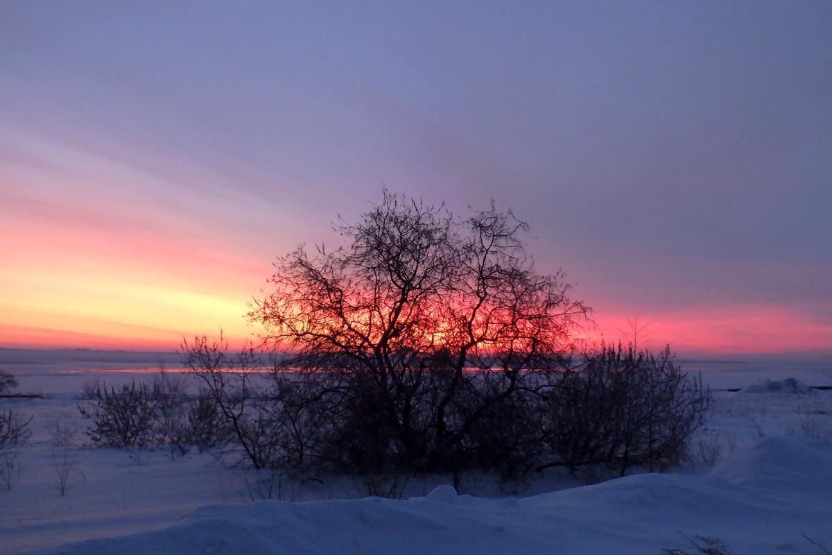 Погода на неделю степном озере. Степное озеро Алтайский край. Озеро Селитренное. Озеро Селитренное Алтайский. Степное озеро Алтайский край Благовещенский район.